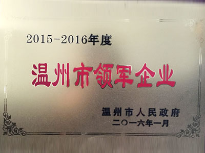 2015-2016 Wenzhou Leading Enterprise